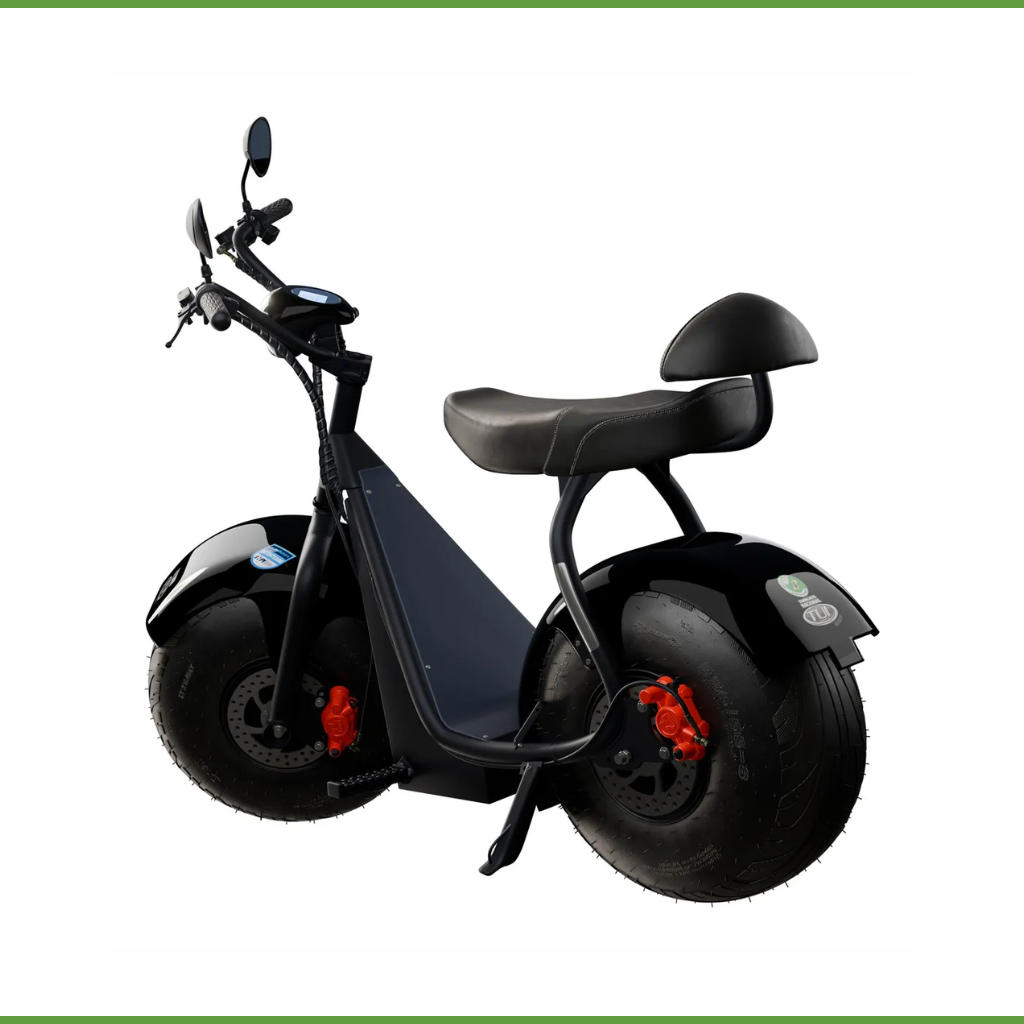 Scooter Elétrica TUI 1000W 1